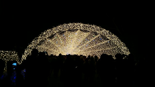 f:id:imsdJava:20150111071219j:image