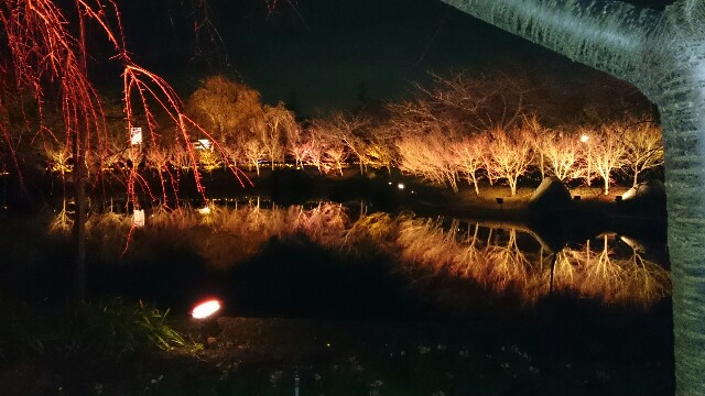 f:id:imsdJava:20150111071448j:image