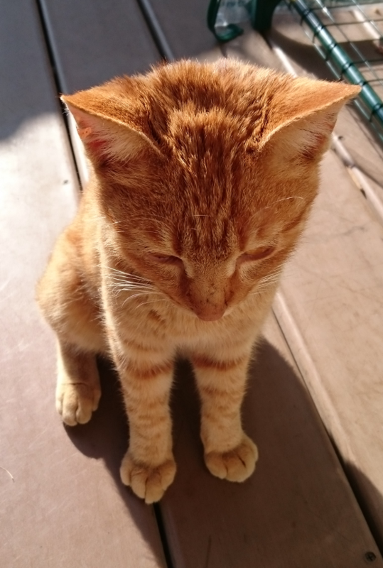 f:id:imsdJava:20150112223205p:plain