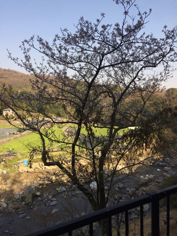 f:id:imterlaw:20150330151601j:plain f:id:imterlaw:20150330151601j:plain