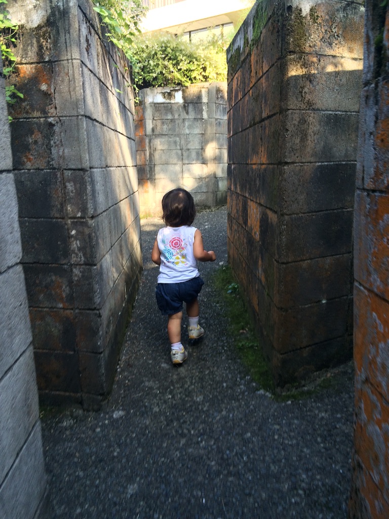 f:id:inachimo:20150925212333j:image f:id:inachimo:20150925212333j:image