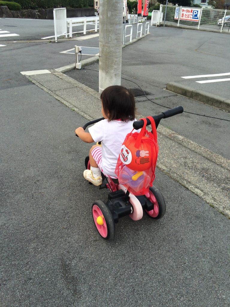 f:id:inachimo:20150929195713j:image f:id:inachimo:20150929195713j:image