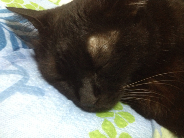f:id:inagex:20130727143534j:plain f:id:inagex:20130727143534j:plain