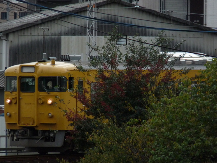 f:id:inajun1751:20111106152939j:image:w360 f:id:inajun1751:20111106152939j:image:w360