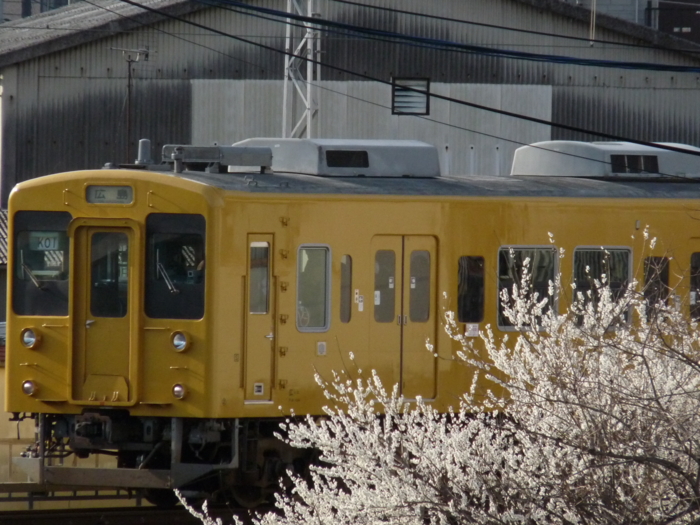 f:id:inajun1751:20120319081318j:image:w360 f:id:inajun1751:20120319081318j:image:w360