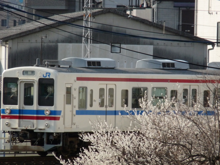f:id:inajun1751:20120319081813j:image:w360 f:id:inajun1751:20120319081813j:image:w360