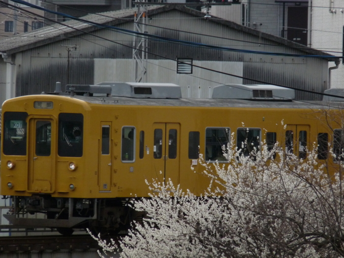 f:id:inajun1751:20120319091232j:image:w360 f:id:inajun1751:20120319091232j:image:w360