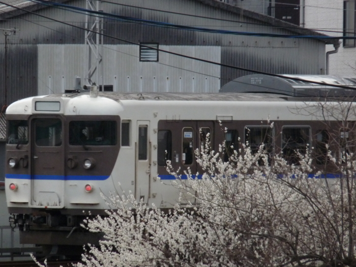 f:id:inajun1751:20120319091548j:image:w360 f:id:inajun1751:20120319091548j:image:w360