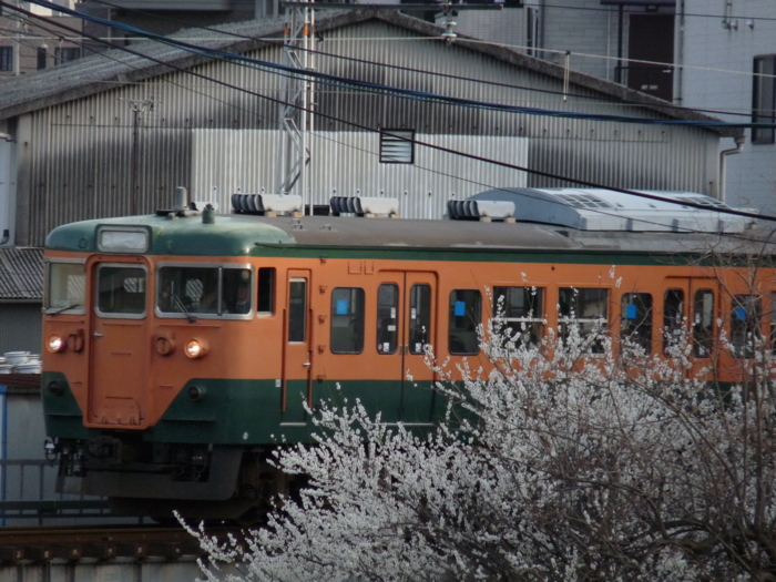 f:id:inajun1751:20120319172659j:image:w360 f:id:inajun1751:20120319172659j:image:w360