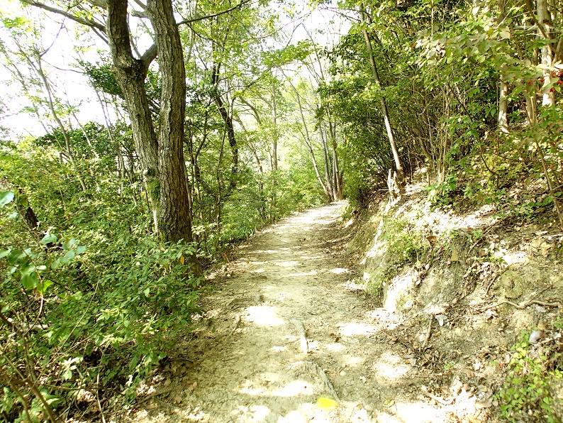 f:id:inakadss:20160321222827j:plain