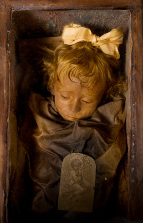 f:id:incubator:20090126181357j:image f:id:incubator:20090126181357j:image