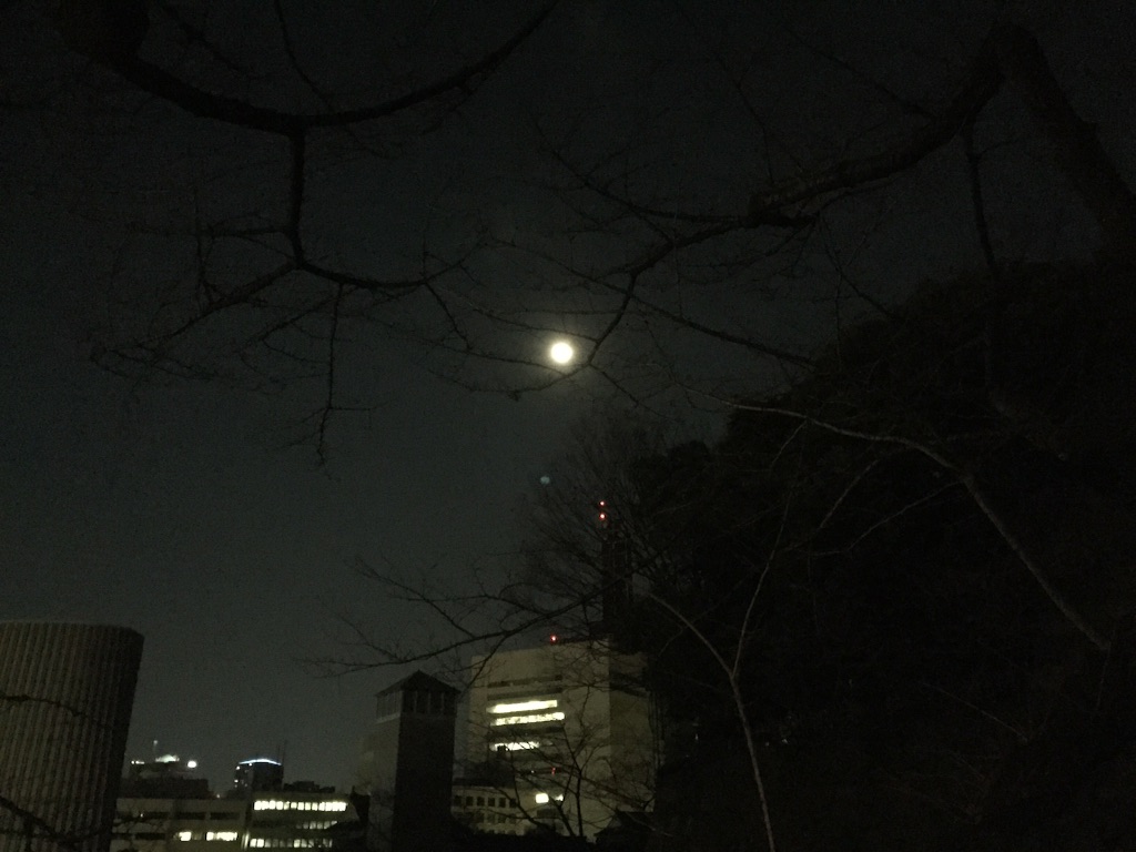 f:id:infinity0105:20151228223223j:image f:id:infinity0105:20151228223223j:image