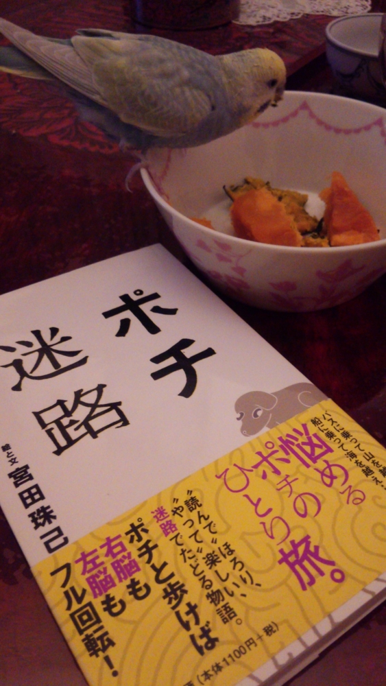 f:id:inkosantouka:20140310192709j:plain f:id:inkosantouka:20140310192709j:plain