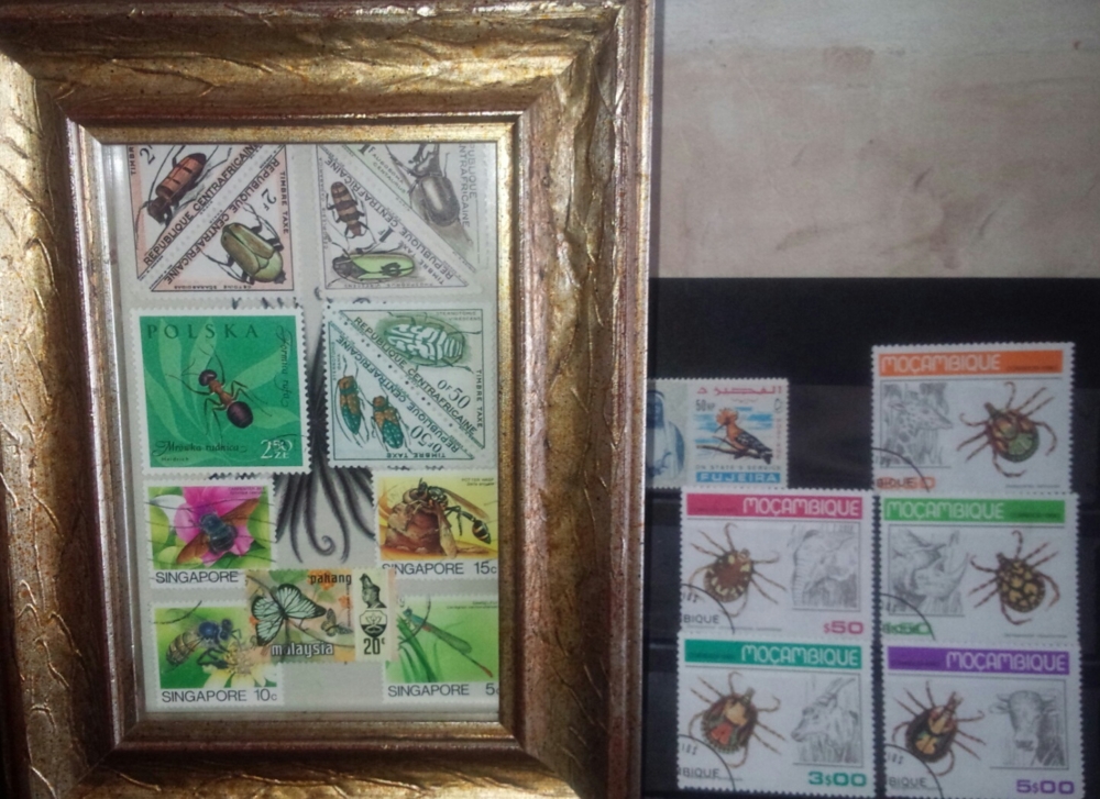 f:id:inkosantouka:20140727102402j:plain f:id:inkosantouka:20140727102402j:plain