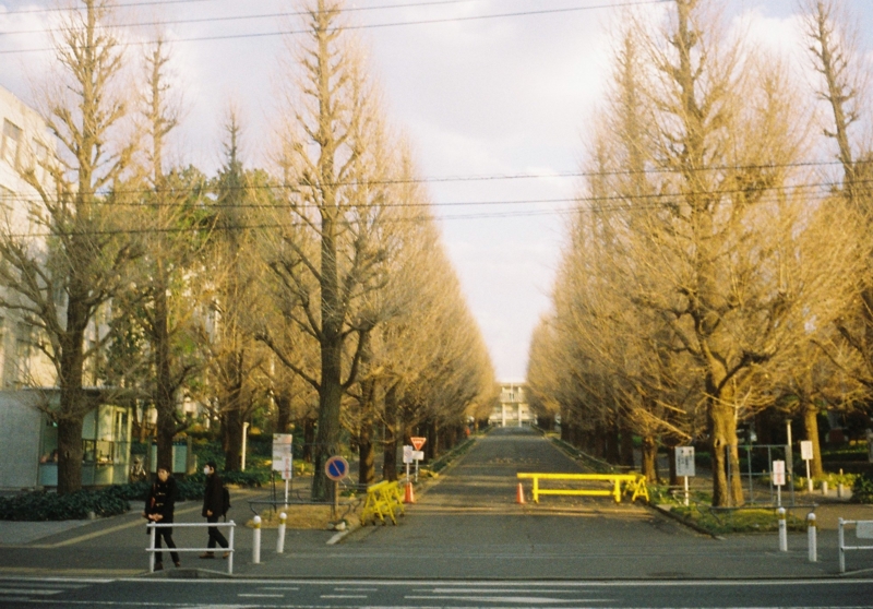 f:id:ino_null:20150127215809j:plain f:id:ino_null:20150127215809j:plain