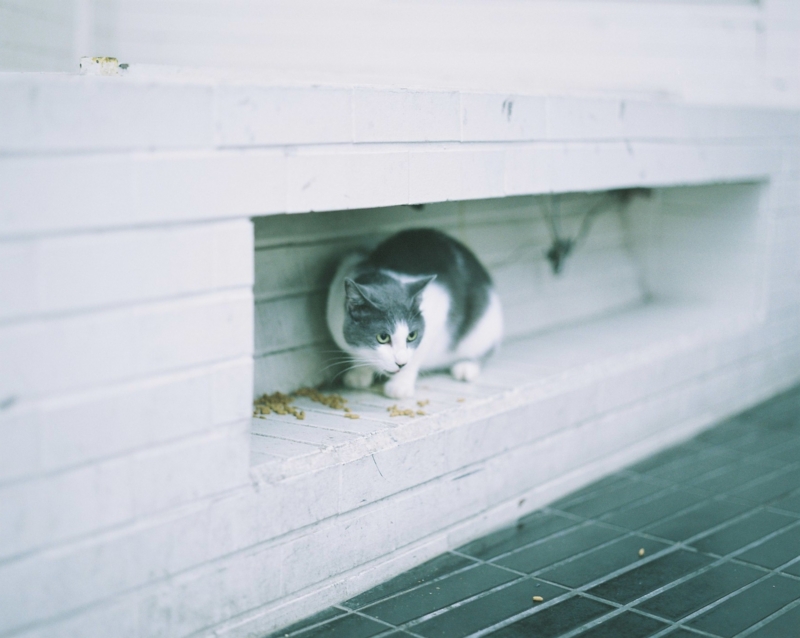 f:id:ino_null:20150927203327j:plain f:id:ino_null:20150927203327j:plain