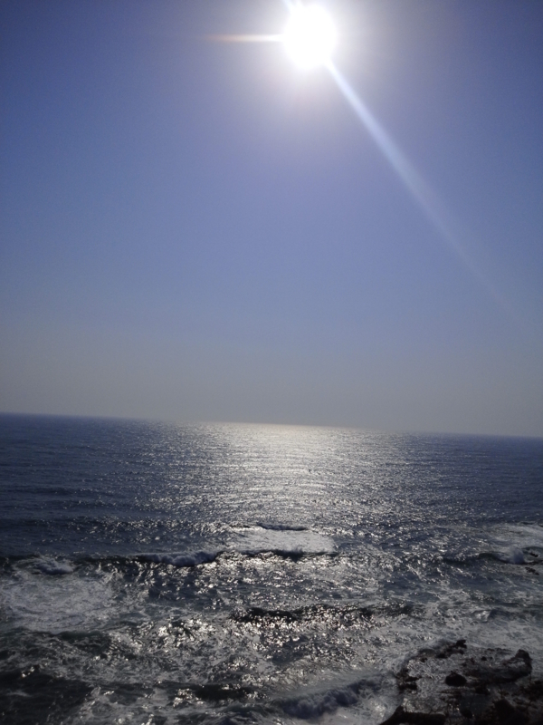 f:id:inochilab:20150531215209j:plain f:id:inochilab:20150531215209j:plain