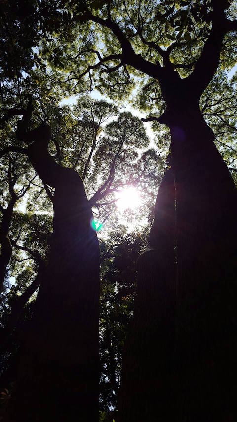 f:id:inokara:20160430175708j:plain f:id:inokara:20160430175708j:plain