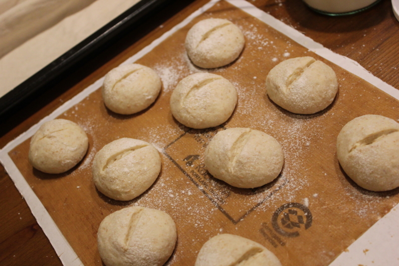 f:id:inosisitoratora:20130505213811j:plain