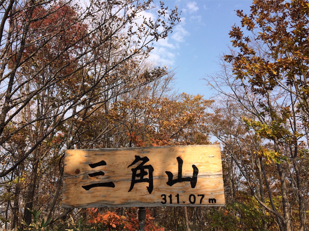 f:id:inosisitoratora:20151231095218j:image f:id:inosisitoratora:20151231095218j:image