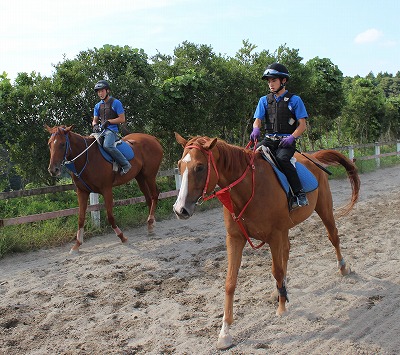 f:id:interactionhorseschool:20140916183754j:image