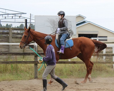 f:id:interactionhorseschool:20141013155722j:image