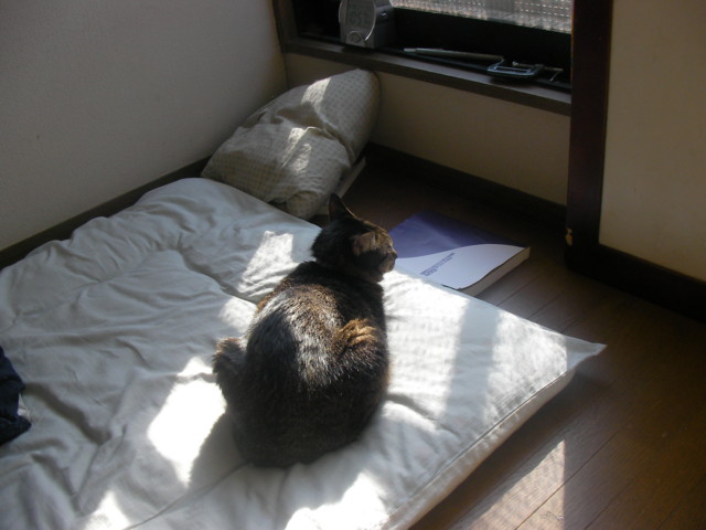 f:id:ippei-r:20081230105906j:image f:id:ippei-r:20081230105906j:image