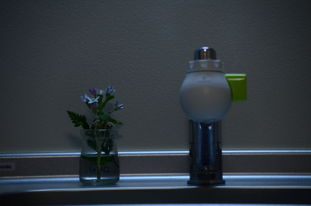 f:id:irnm:20151116190851j:plain