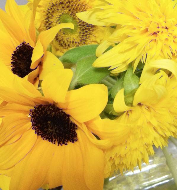 f:id:irokokoro16:20141214085151j:plain f:id:irokokoro16:20141214085151j:plain