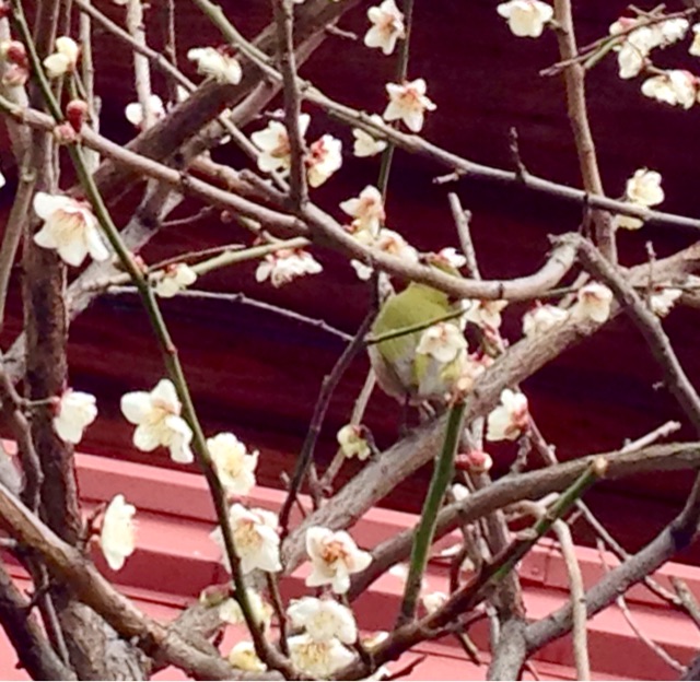 f:id:irokokoro16:20150217223439j:plain f:id:irokokoro16:20150217223439j:plain