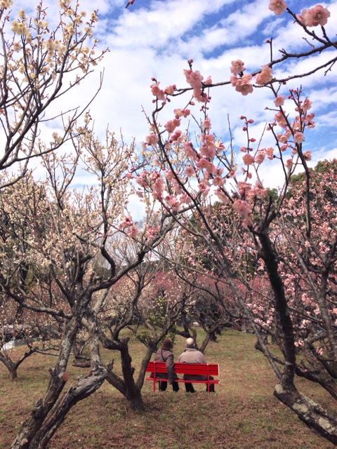 f:id:irokokoro16:20150225223011j:plain f:id:irokokoro16:20150225223011j:plain