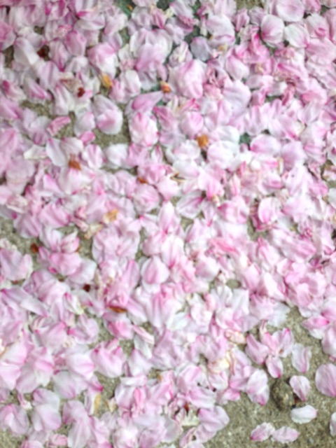 f:id:irokokoro16:20150419231102j:plain f:id:irokokoro16:20150419231102j:plain