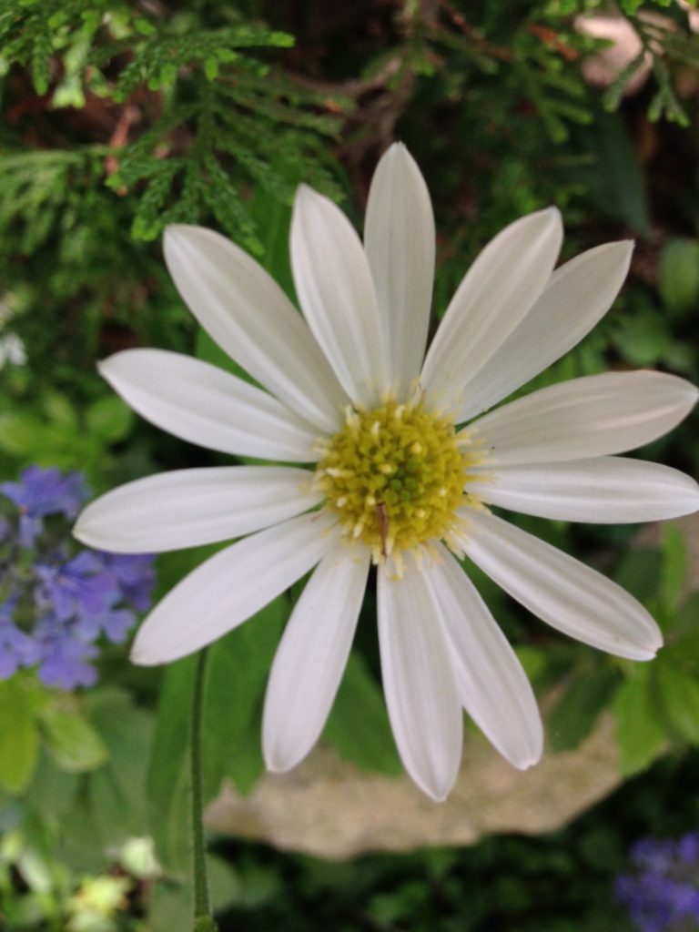 f:id:irokokoro16:20150709221217j:plain f:id:irokokoro16:20150709221217j:plain