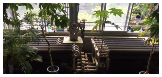 f:id:ironoxide:20150828130905p:plain f:id:ironoxide:20150828130905p:plain