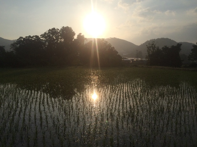 f:id:isaoand:20150616134223j:image f:id:isaoand:20150616134223j:image