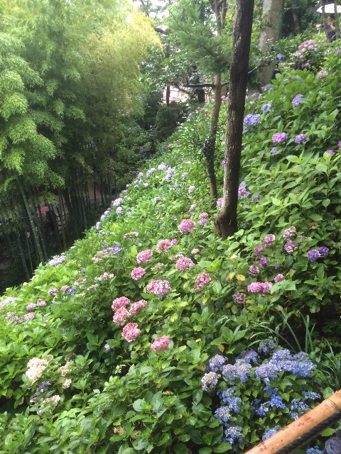 f:id:isaoand:20150704223556j:image f:id:isaoand:20150704223556j:image