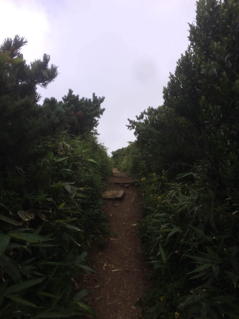 f:id:isaoand:20150811232454j:image f:id:isaoand:20150811232454j:image