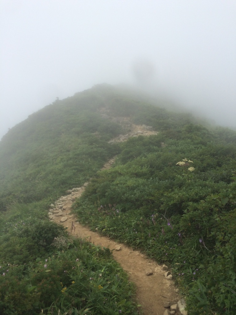 f:id:isaoand:20150811232508j:image f:id:isaoand:20150811232508j:image