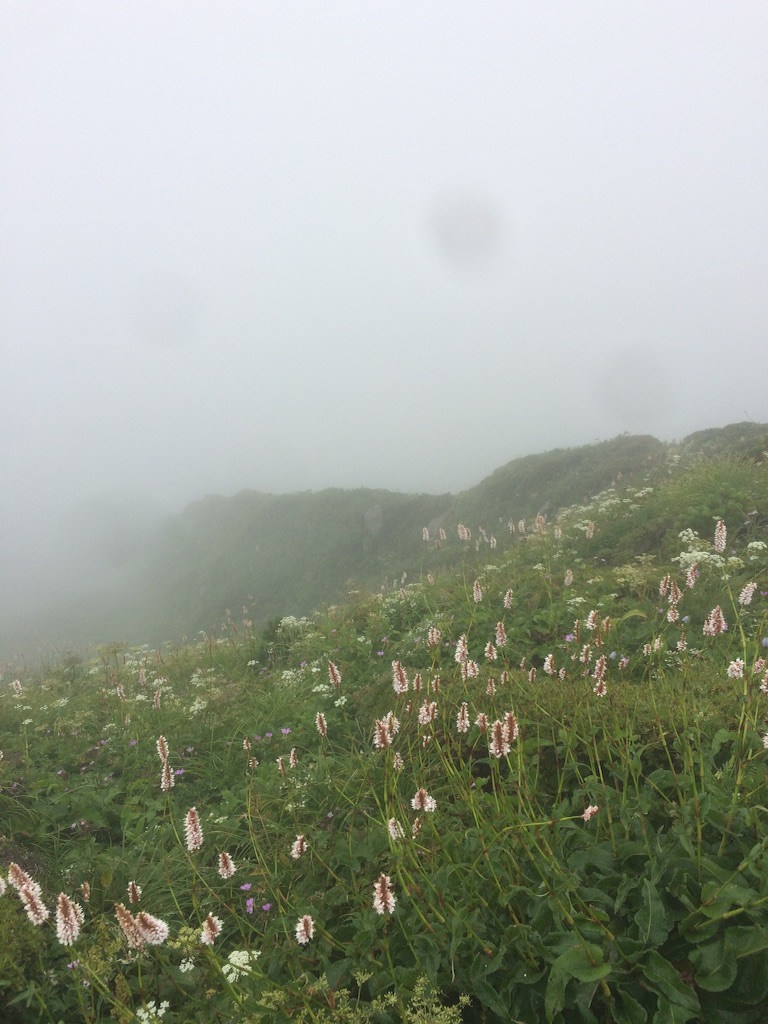 f:id:isaoand:20150811232529j:image f:id:isaoand:20150811232529j:image