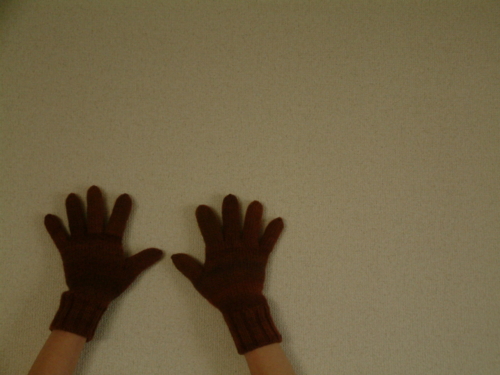 f:id:ishidayuko:20130306153714j:image f:id:ishidayuko:20130306153714j:image