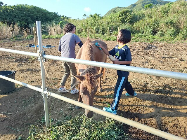 f:id:ishigakijimaumahiroba:20150806054535j:image f:id:ishigakijimaumahiroba:20150806054535j:image