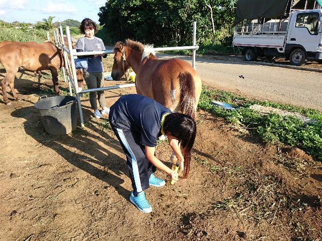 f:id:ishigakijimaumahiroba:20150806054623j:image f:id:ishigakijimaumahiroba:20150806054623j:image
