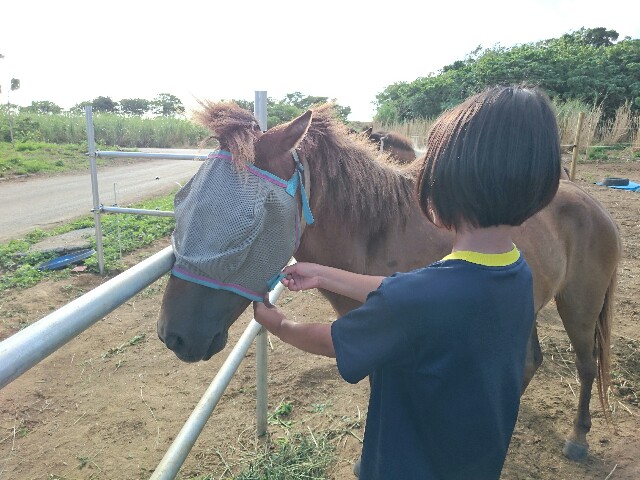 f:id:ishigakijimaumahiroba:20150806054649j:image f:id:ishigakijimaumahiroba:20150806054649j:image