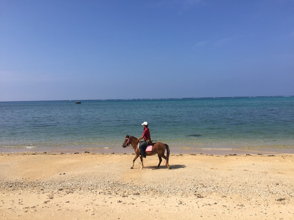 f:id:ishigakijimaumahiroba:20150827145551j:image f:id:ishigakijimaumahiroba:20150827145551j:image