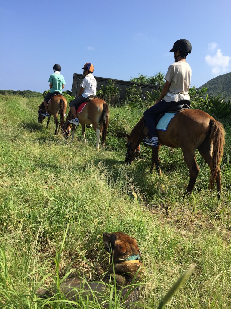 f:id:ishigakijimaumahiroba:20150912144104j:image f:id:ishigakijimaumahiroba:20150912144104j:image