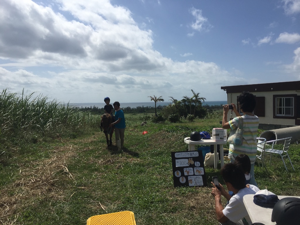 f:id:ishigakijimaumahiroba:20151103172327j:image f:id:ishigakijimaumahiroba:20151103172327j:image