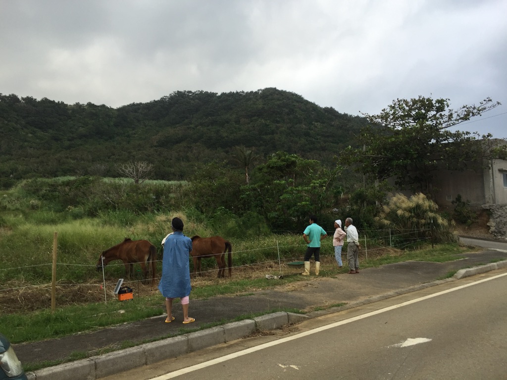 f:id:ishigakijimaumahiroba:20151111001453j:image f:id:ishigakijimaumahiroba:20151111001453j:image
