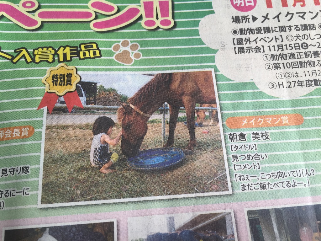 f:id:ishigakijimaumahiroba:20151114175439j:image f:id:ishigakijimaumahiroba:20151114175439j:image