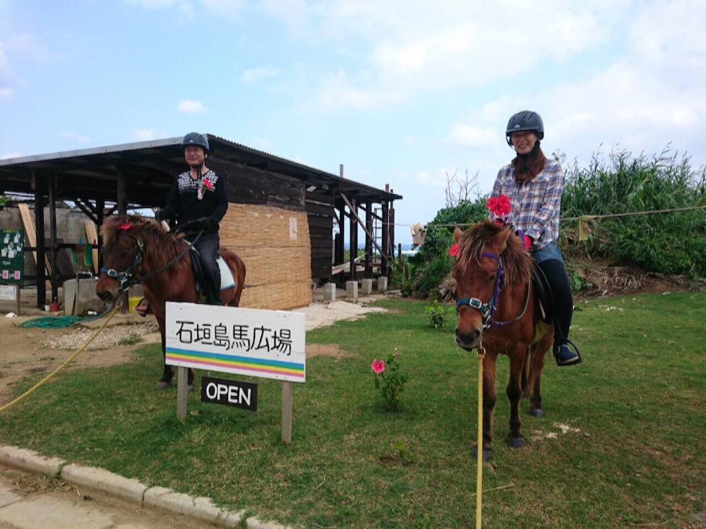 f:id:ishigakijimaumahiroba:20151127162015j:image f:id:ishigakijimaumahiroba:20151127162015j:image