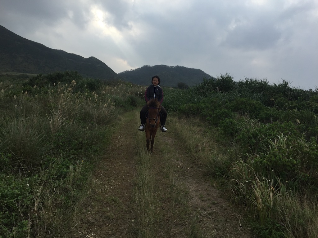 f:id:ishigakijimaumahiroba:20160102123624j:image f:id:ishigakijimaumahiroba:20160102123624j:image